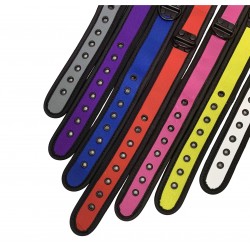 Neoprene pup collar